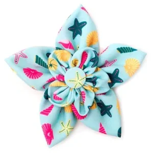 Seashells Teal Flower Slider
