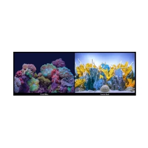 Seaview Coral Bliss/ Luscia Reef 24" Double Sided Background - Sold per Foot