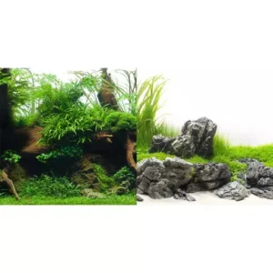Seaview Greenspike/Amazonia 18" x 50' Double Sided Background