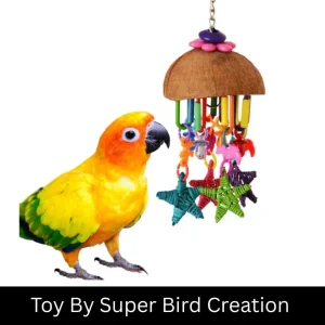 Seeing Stars Bird Toy by SBC