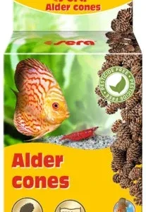 Sera alder cones