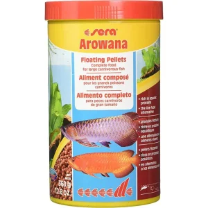 Sera Arowana