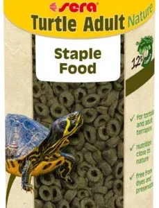 Sera Turtle Adult Nature