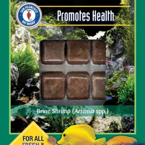 SFBB Spirulina Brine Shrimp