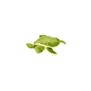 Shelly Turtle