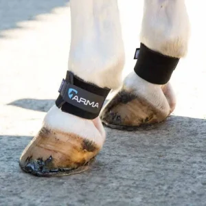 Shires Arma Pastern Wraps Black One Size