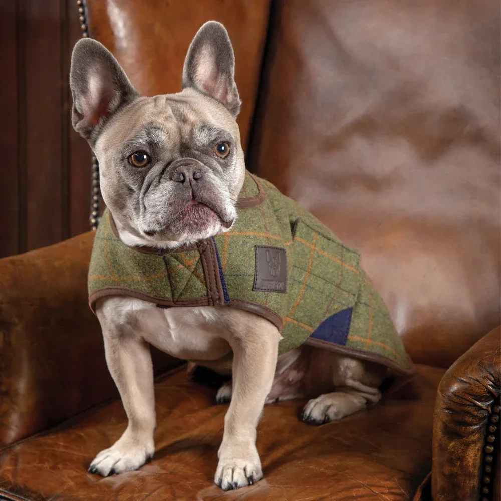 Shires Digby & Fox Tweed Dog Coat