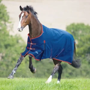 Shires Highlander 300G Blanket