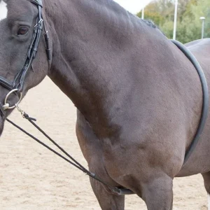 Shires Soft Lunging Aid One Size Black