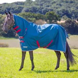 Shires Tempest Original Lite Combo Turnout
