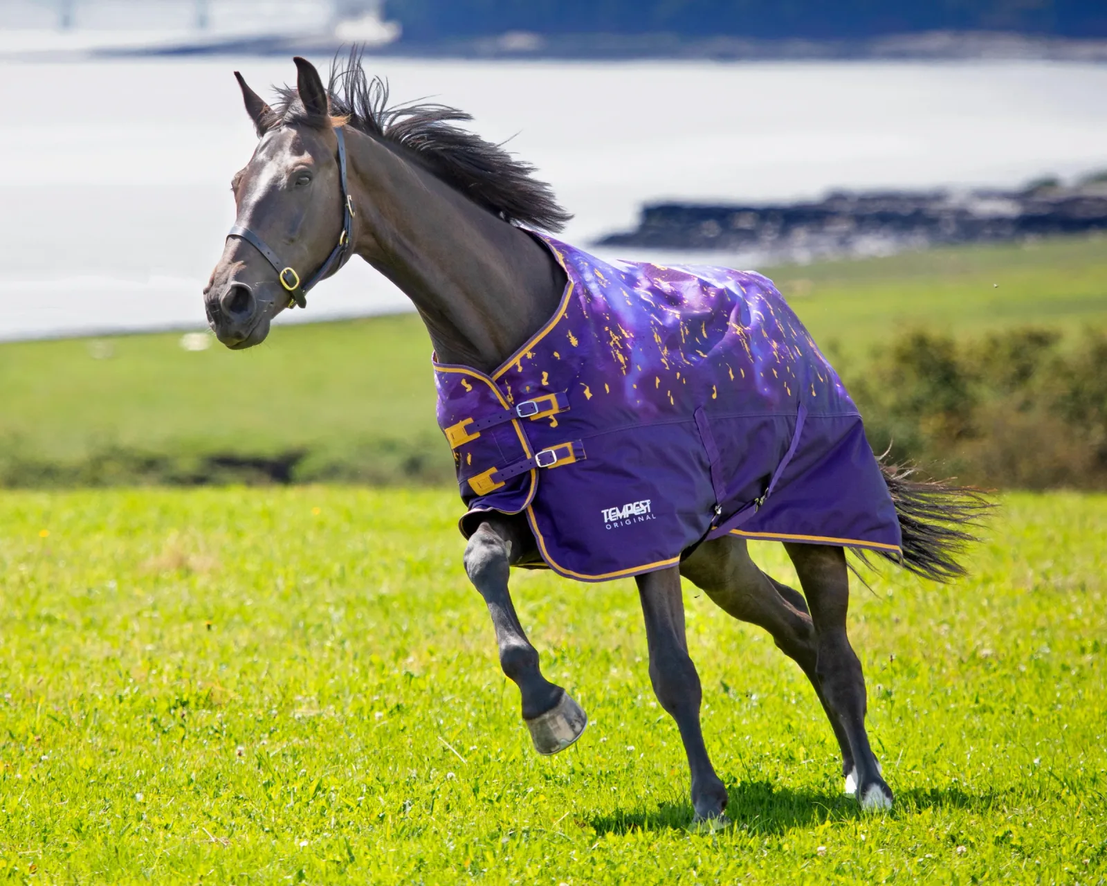 Shires Tempest Original Lite Turnout Sheet - Image 2