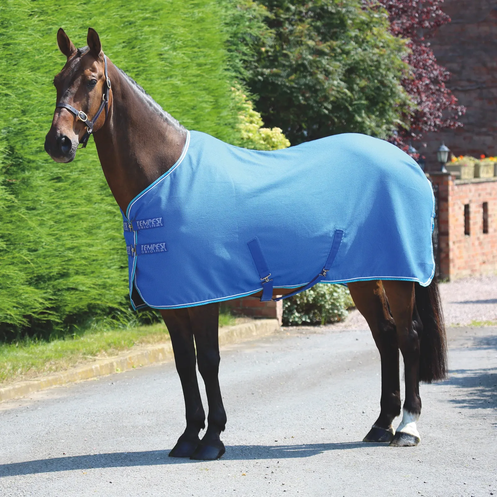 Shires Tempest Original Waffle Cooler