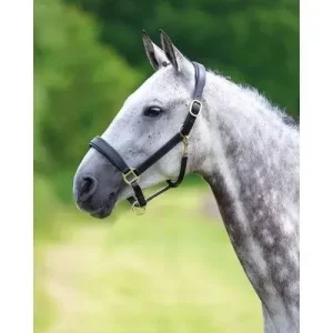 Shires Travel Headcollar