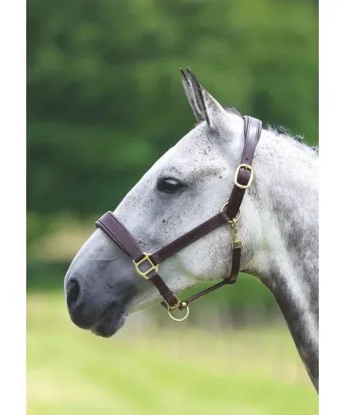 Shires Travel Headcollar - Image 2