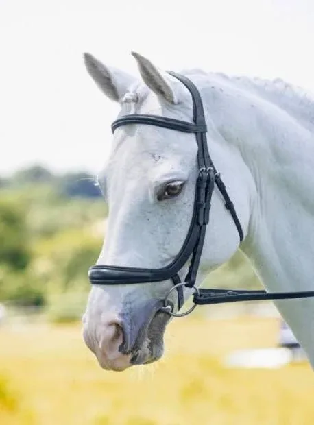 Shires Velociti Ergonomic Cavesson - Image 2