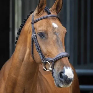 Shires Velociti Lusso Ergonomic Flash Bridle