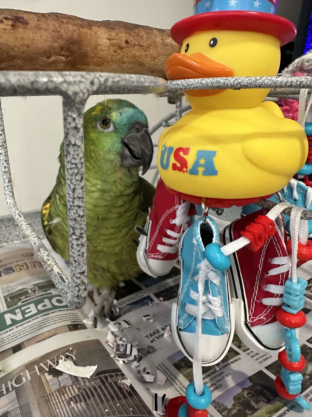 Shoes Duck Bird Toys - Image 2
