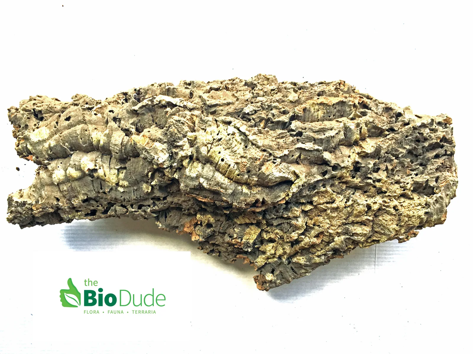 Show Grade Cork Bark Flat - 24 to 32 Inches