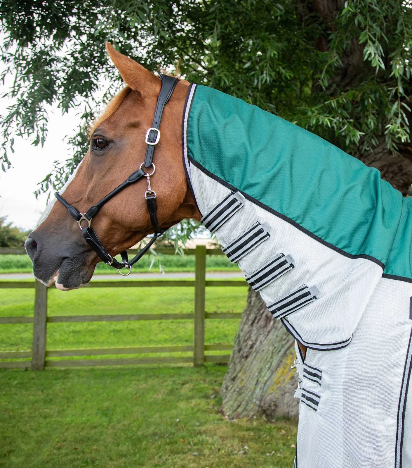 ShowerTex Fly Rug with Surcingles Green - Image 2