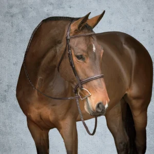 Showmark® Premier Hunter Bridle