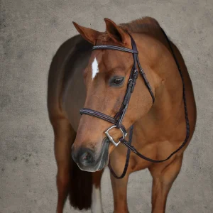 Showmark® Premier Padded Pony Hunter Bridle