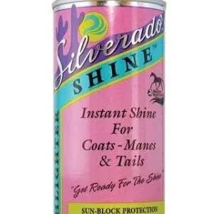Silverado Shine Aerosol