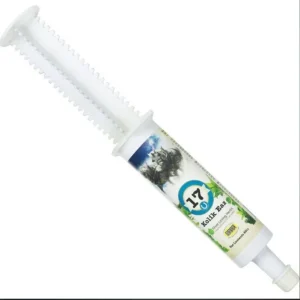 Simply Fido Organic Stuffless Dog Toy