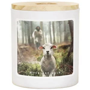 Sincere Surroundings Jesus Rescuing Lamb