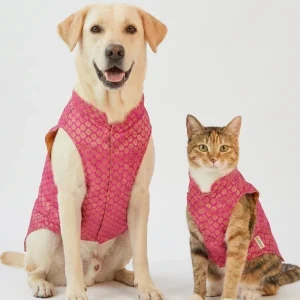 Skatrs Brocade Gold Printed Sherwani for Dogs and Cats (Pink)