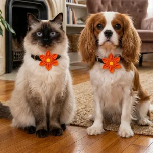 Skatrs Flower Bow for Dogs and Cats (Orange)
