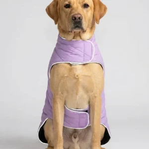 Skatrs Puffer Reversible Jacket for Dogs and Cats (Black/Lilac)