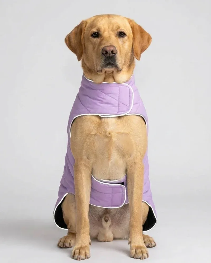 Skatrs Puffer Reversible Jacket for Dogs and Cats (Black/Lilac)