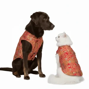 Skatrs Royale Sherwani for cats and dogs (Pink)