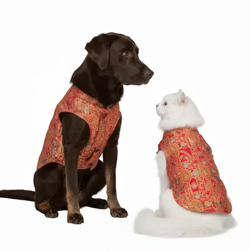 Skatrs Royale Sherwani for cats and dogs (Pink)
