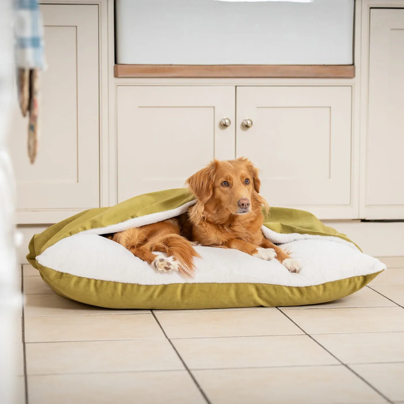 Sleepy Burrows Bed With Removable Cover In Olive Velvet by Lords & Labradors