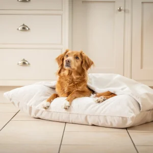 Sleepy Burrows Bed With Removable Cover In Oyster Velvet by Lords & Labradors