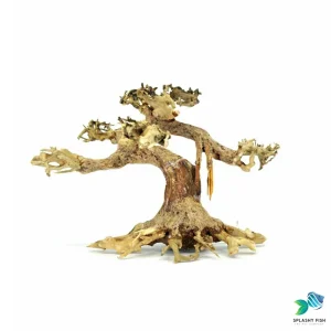 Small Jungle Bonsai Driftwood Tree M550