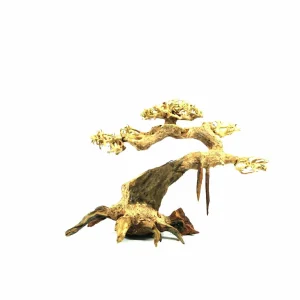 Small Jungle Bonsai Driftwood Tree M551