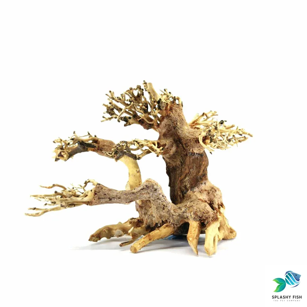 Small Multi Trunk Bonsai Driftwood Tree M600