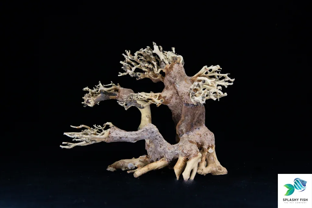 Small Multi Trunk Bonsai Driftwood Tree M600 - Image 2