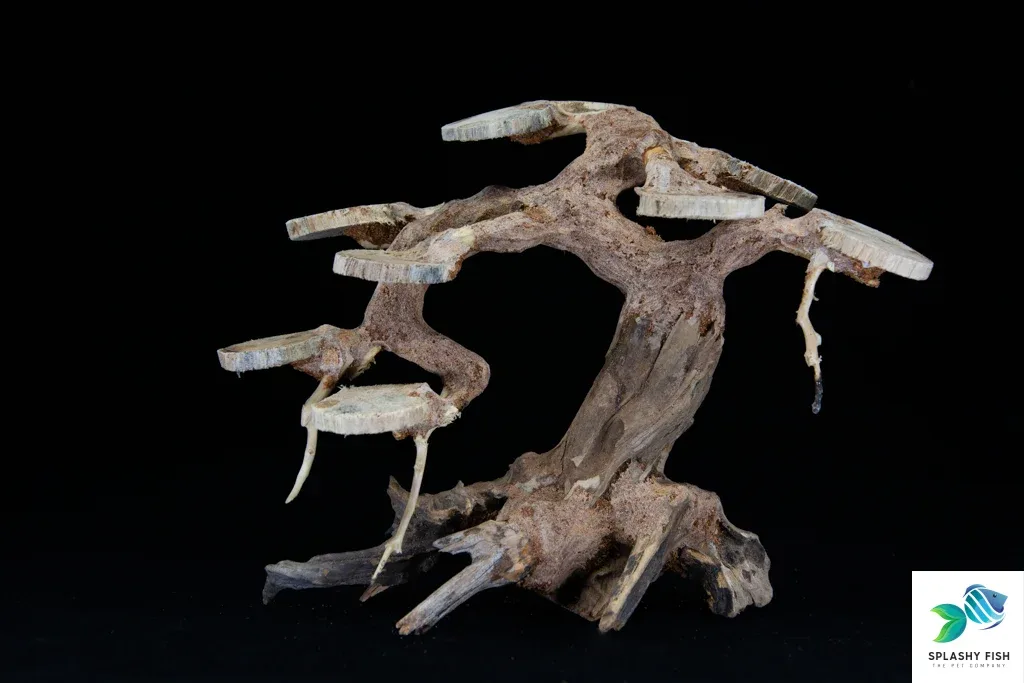 Small Rainforest Bonsai Driftwood Tree M200 - Image 2