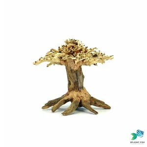 Small Redwood Bonsai Driftwood Tree M220