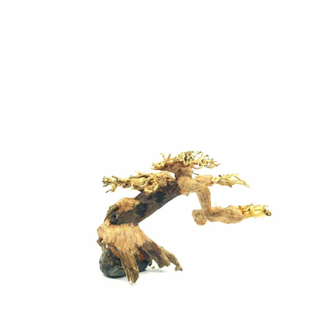 Small Size Bonsai Driftwood Tree on Rock M400 - Image 2
