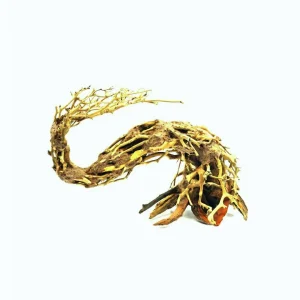 Small Size Dragon's Tail Bonsai Driftwood Tree M094