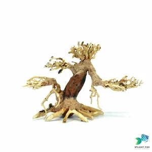 Small Swamp Bonsai Driftwood Tree M330