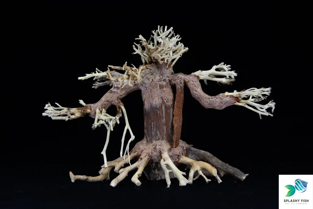 Small Weeping Bonsai Driftwood Tree M110 - Image 2