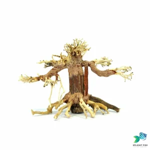 Small Weeping Bonsai Driftwood Tree M110