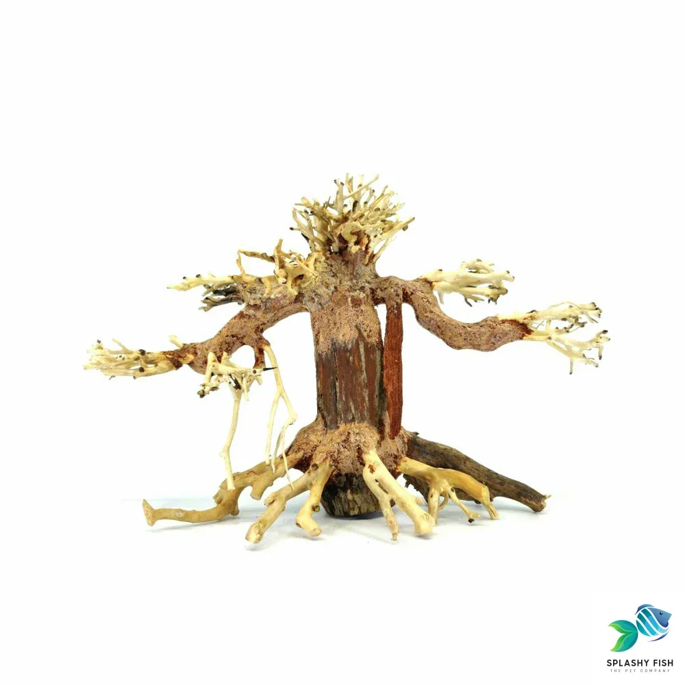Small Weeping Bonsai Driftwood Tree M110