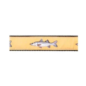 Snook on Sand