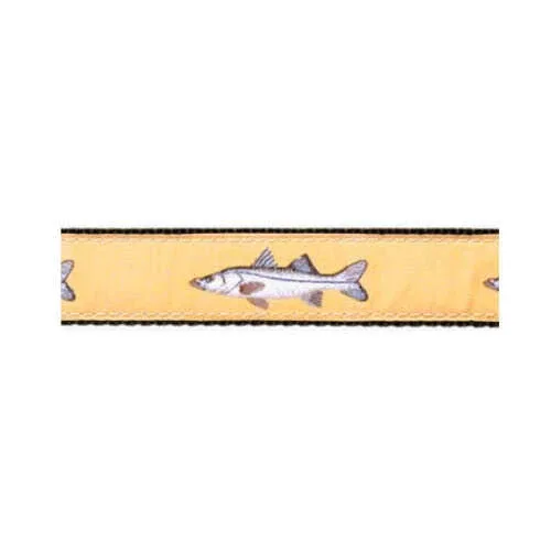 Snook on Sand
